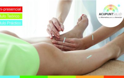 Diplomado de Acupuntura en Madrid – Semi-presencial
